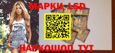 мяу мяу мука Комсомольск-на-Амуре