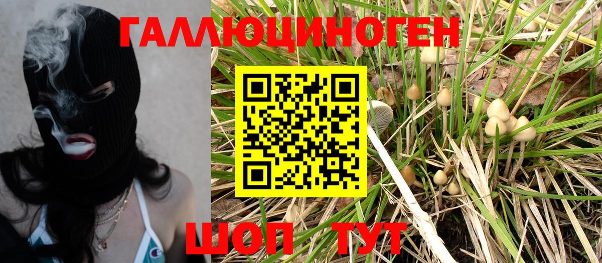 наркотики  Галлюциногенные грибы MAGIC MUSHROOMS  Калач-на-Дону  Вход с VPN  Галлюциногенные грибы мухоморы 
